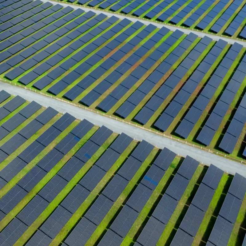 a field full of ground mounted solar panels